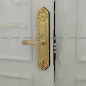 Khóa Cửa Đại Sảnh Hubert HB DS77 Gold lắp đặt thực tế - khoathongminh24h (Ảnh 2)